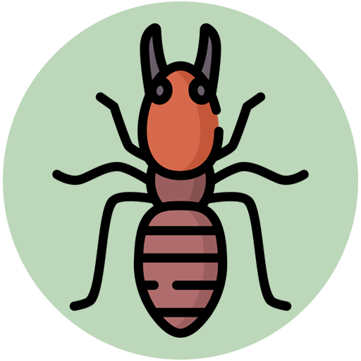 Termite
