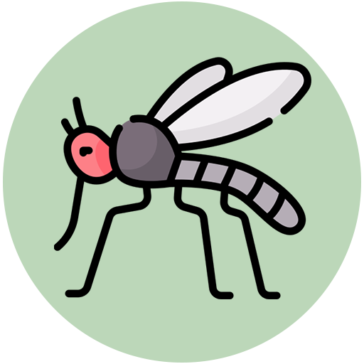 Mosquito